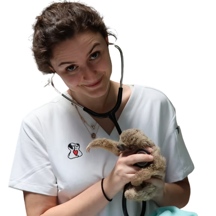 Dr. Nane Schomburg
