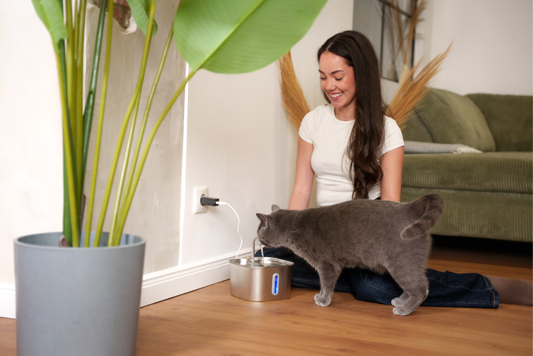 Katze, Mensch und Trinkbrunnen