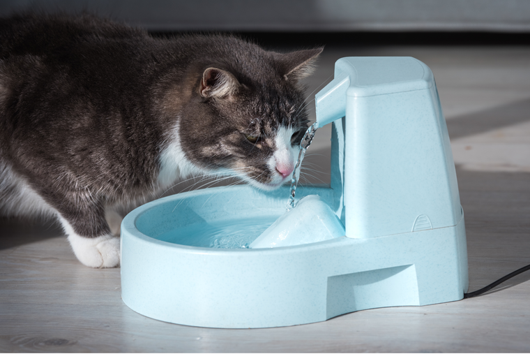 Katzenbrunnen: Edelstahl oder Plastik? Der ehrliche Vergleich