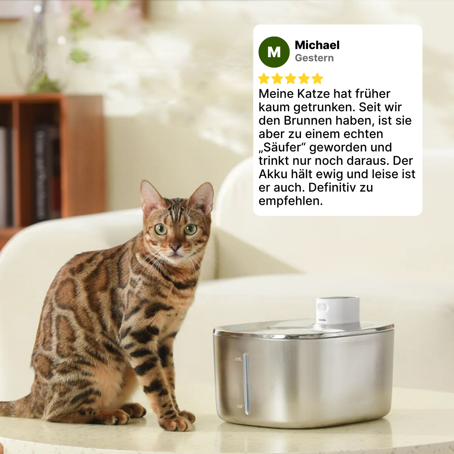 SmartFlow Deluxe Katzenbrunnen (4L + Kabellos)
