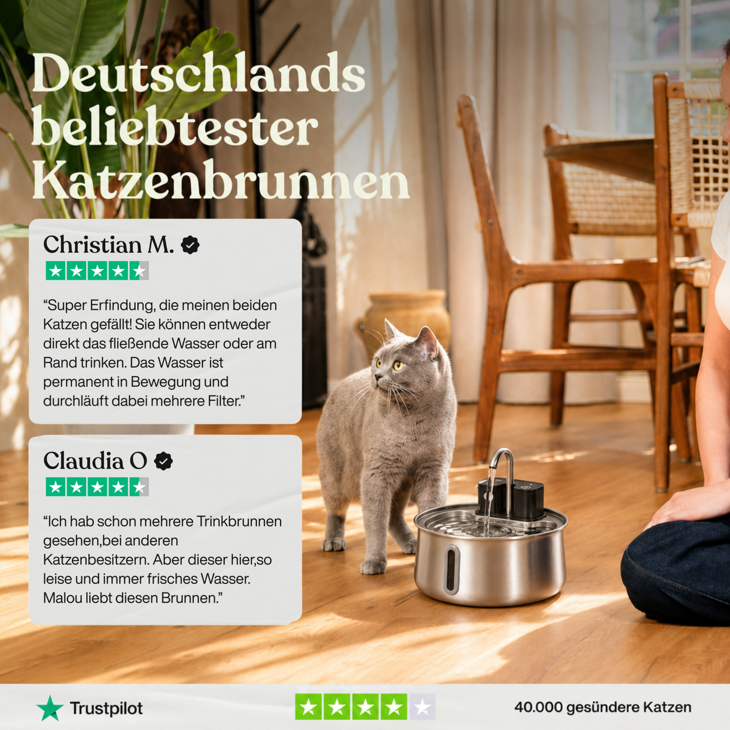 NordFlow Mini 2.0 Katzenbrunnen