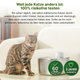SmartFlow Deluxe Katzenbrunnen