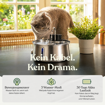 NordFlow 3.0 Katzenbrunnen