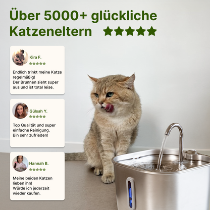 NordFlow Mini Katzenbrunnen (2,2L)