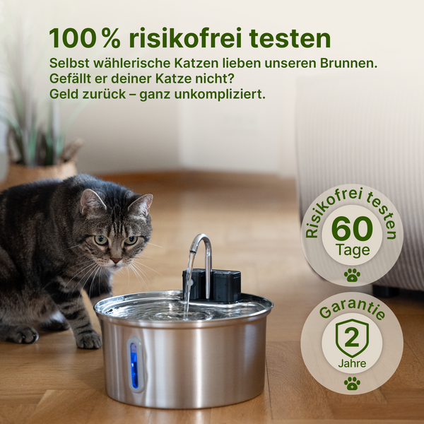 NordFlow 2.0 Katzenbrunnen