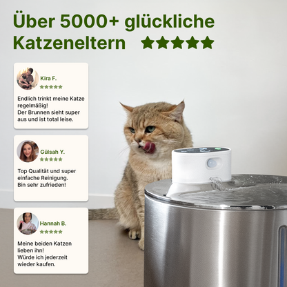 SmartFlow Premium Katzenbrunnen (4L + Kabellos)