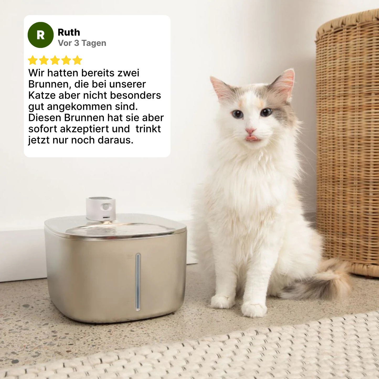 SmartFlow Deluxe Katzenbrunnen (4L + Kabellos)