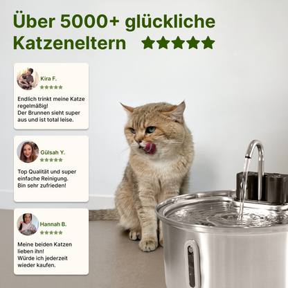 NordFlow 2.0 Katzenbrunnen (3,2L + Kabellos)