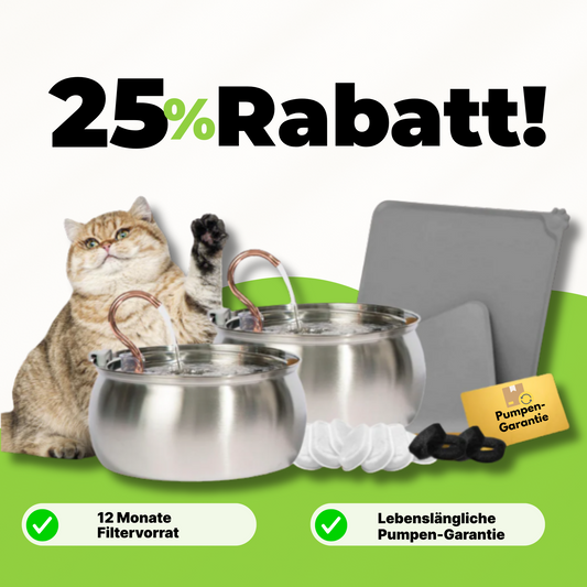 Für große Katzenfamilien