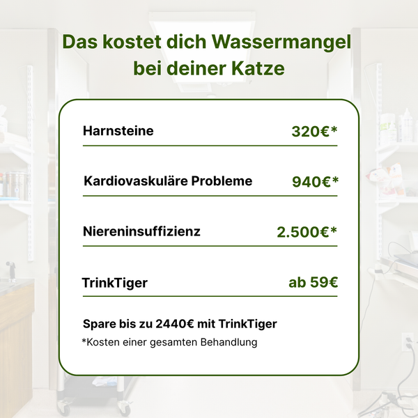 SmartFlow Deluxe Katzenbrunnen