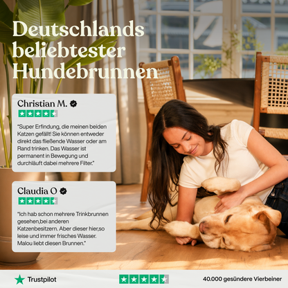 NordFlow 3,2L Hundebrunnen