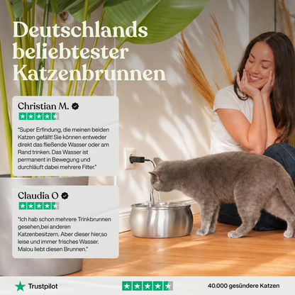 NordFlow Mehrkatzen-Set