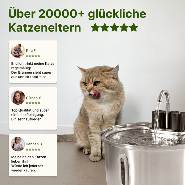 NordFlow 2.0 Katzenbrunnen