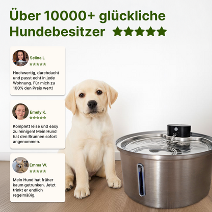 NordFlow 2.0 Hundebrunnen