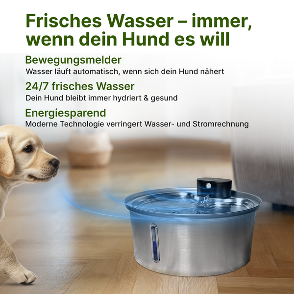 NordFlow 2.0 Hundebrunnen