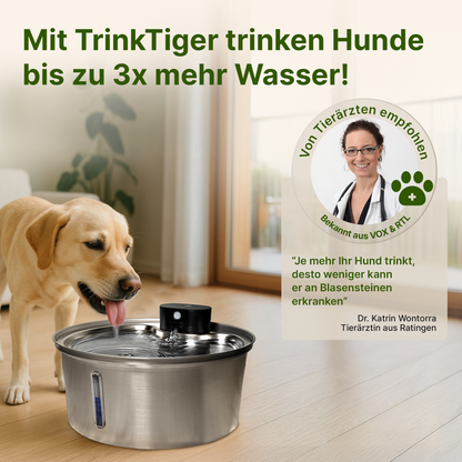 NordFlow 2.0 Hundebrunnen