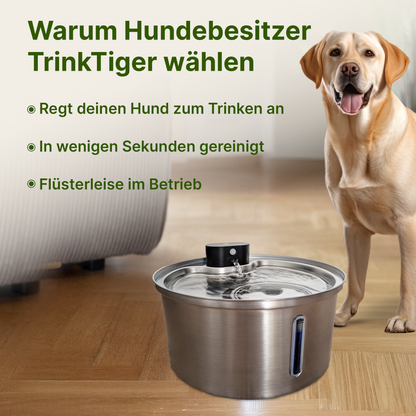 NordFlow 2.0 Hundebrunnen