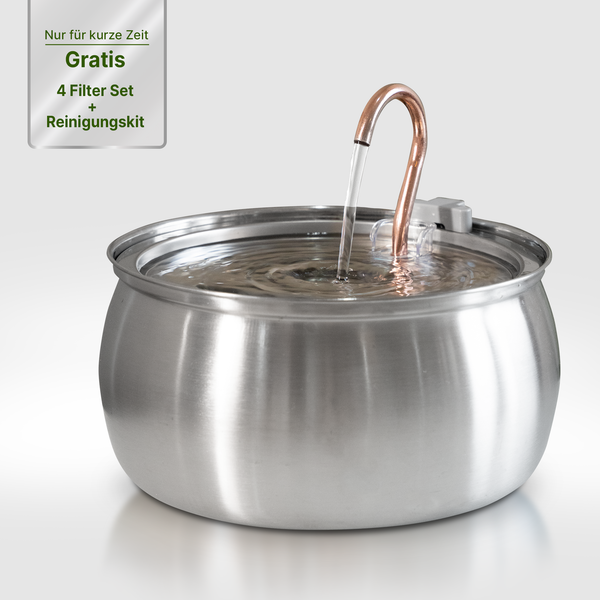 NordFlow Katzenbrunnen