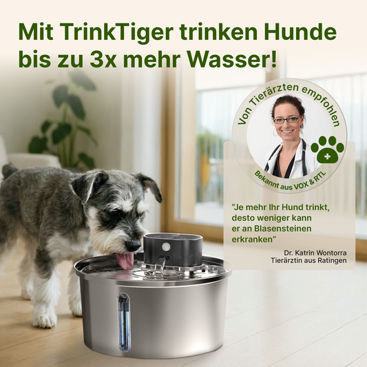 NordFlow 3,2L Hundebrunnen