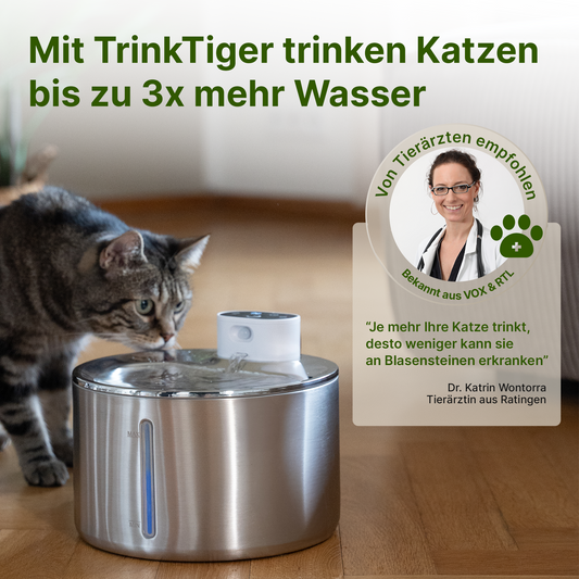 SmartFlow Premium Katzenbrunnen (4L + Kabellos)
