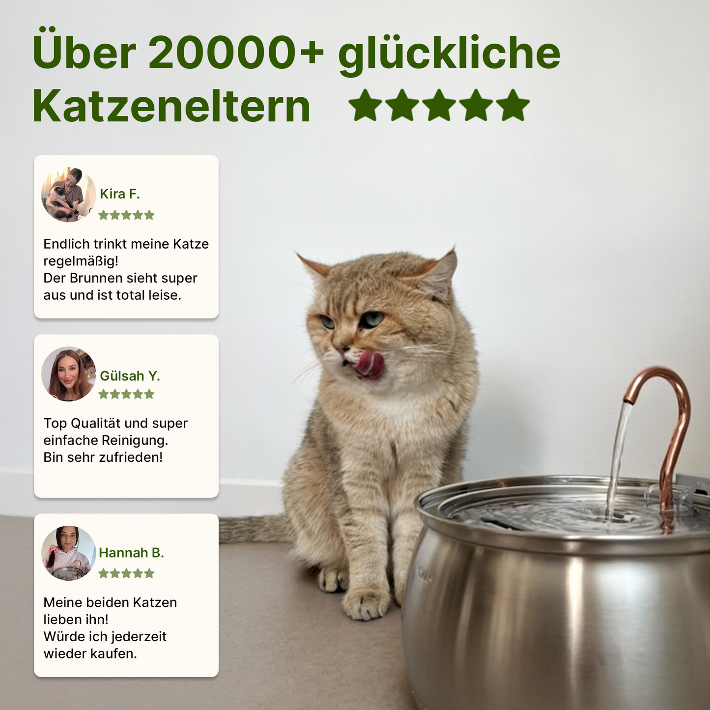 NordFlow Katzenbrunnen