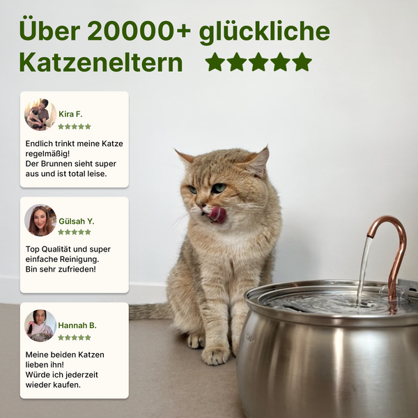 NordFlow Katzenbrunnen