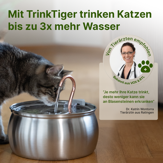 NordFlow Katzenbrunnen (4L)